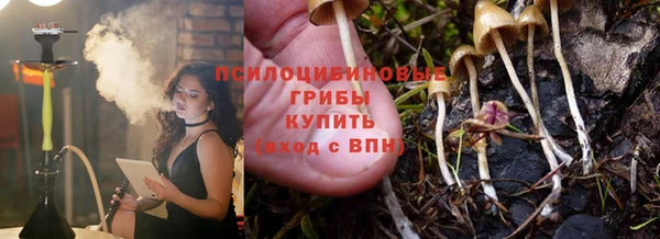 эйфоретик Дмитриев